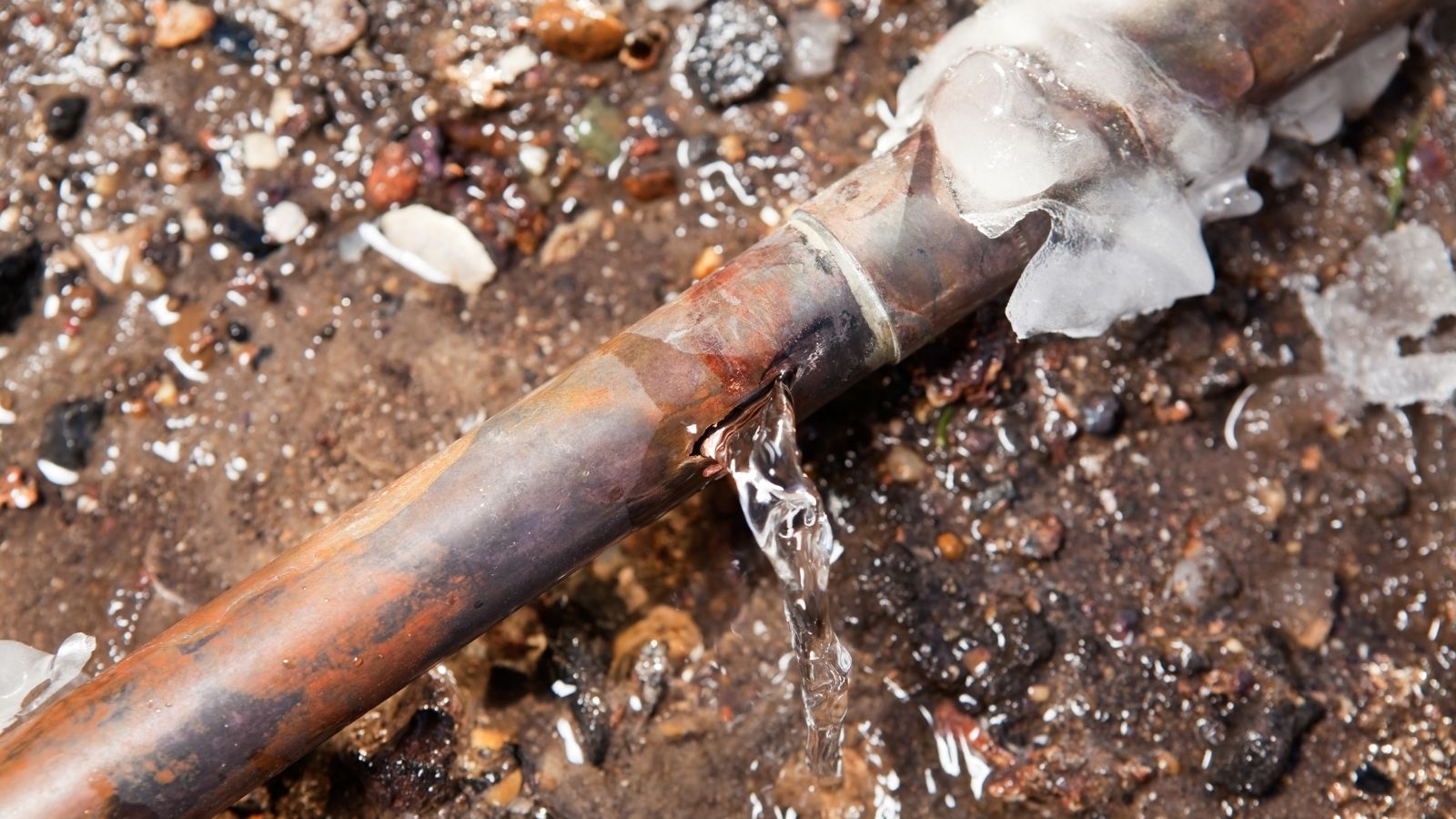 A copper water pipe split open by ice, leaking water